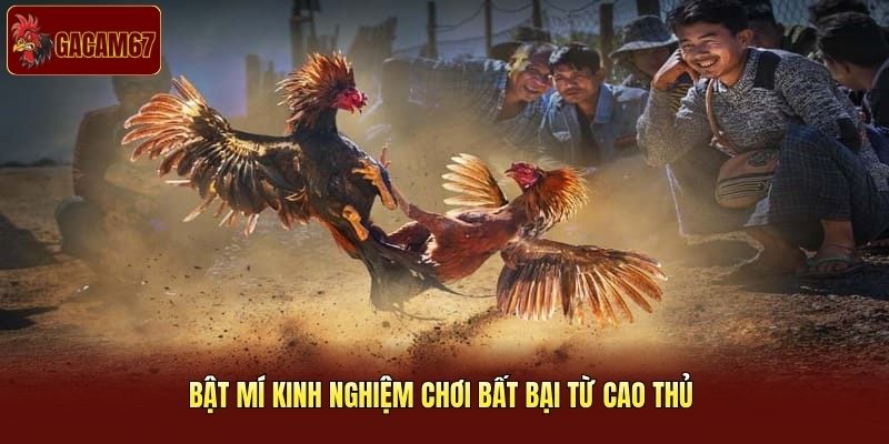 Bật mí kinh nghiệm chơi bất bại từ cao thủ Bật mí kinh nghiệm chơi bất bại từ cao thủ