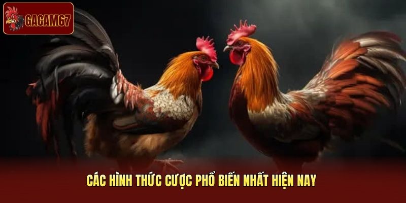 Các hình thức cược phổ biến nhất hiện nay Các hình thức cược phổ biến nhất hiện nay
