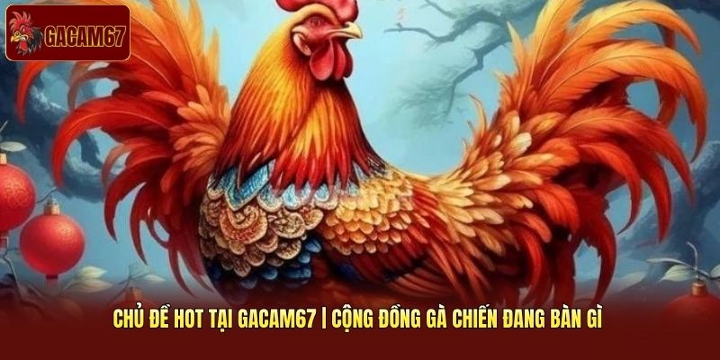 Chủ Đề Hot Tại Gacam67 | Cộng Đồng Gà Chiến Đang Bàn Gì