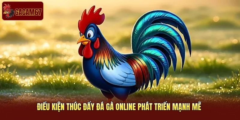 Điều kiện thúc đẩy đá gà online phát triển mạnh mẽ 