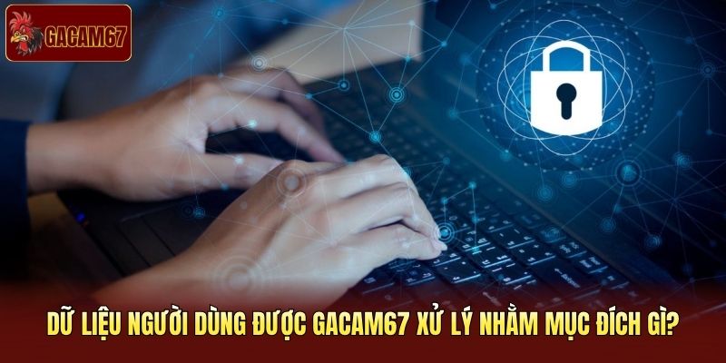 Dữ liệu người dùng được Gacam67 xử lý nhằm mục đích gì? Dữ liệu người dùng được Gacam67 xử lý nhằm mục đích gì?