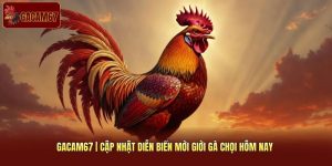 Gacam67 Cập Nhật Diễn Biến Mới Giới Gà Chọi Hôm Nay 