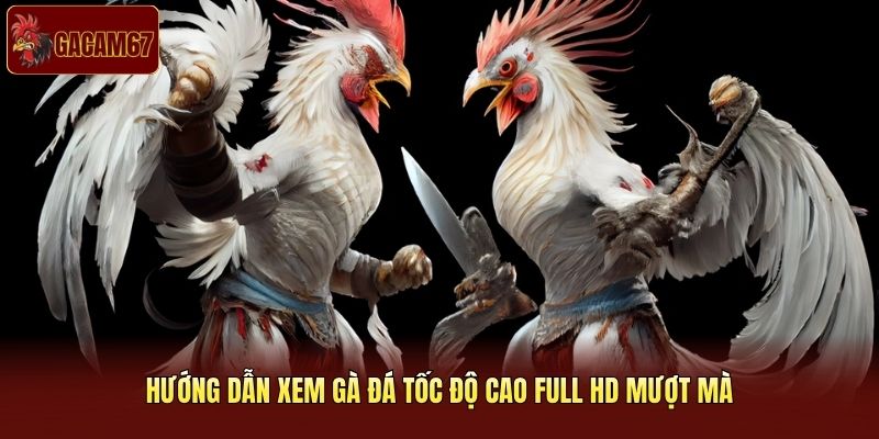 Hướng dẫn xem gà đá tốc độ cao full HD mượt mà Hướng dẫn xem gà đá tốc độ cao full HD mượt mà
