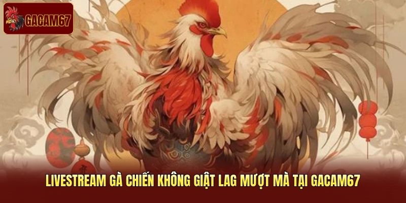 Livestream gà chiến không giật lag tại Gacam67