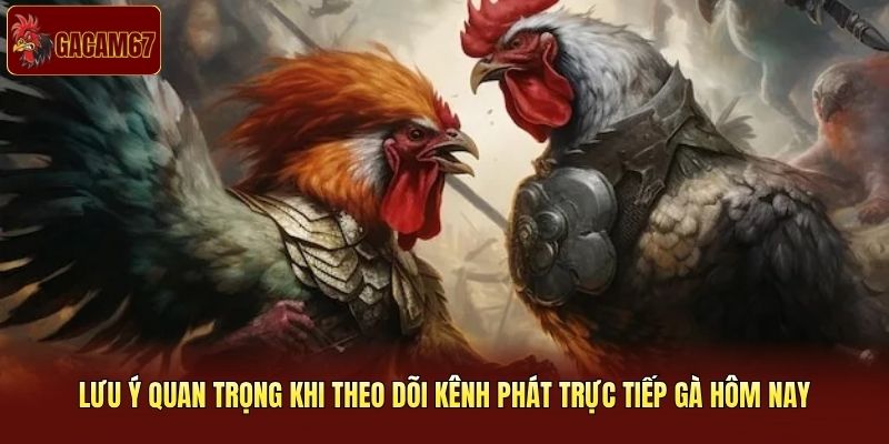 Lưu ý quan trọng khi theo dõi kênh phát trực tiếp gà hôm nay Lưu ý quan trọng khi theo dõi kênh phát trực tiếp gà hôm nay