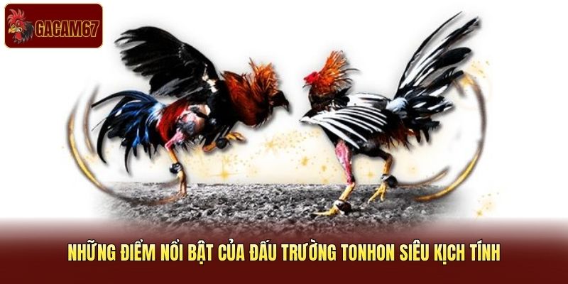 Những điểm nổi bật của đấu trường Tonhon siêu kịch tính