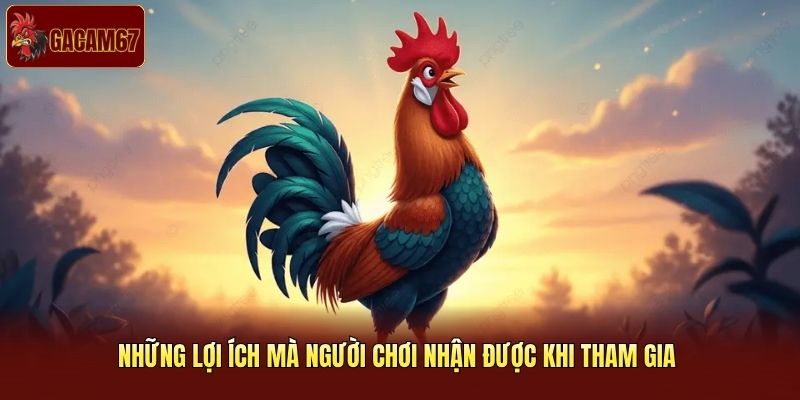 Những lợi ích mà người chơi nhận được khi tham gia 