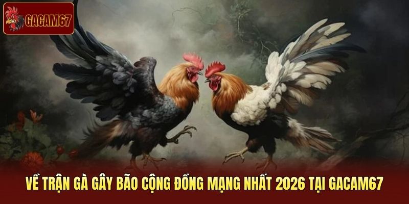 Về trận gà gây bão cộng đồng mạng nhất 2026 tại Gacam67