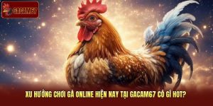 Xu Hướng Chơi Gà Online Hiện Nay Tại Gacam67 Có Gì Hot? 