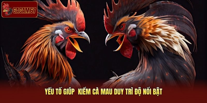 Yếu tố giúp Kiểm Cà Mau duy trì độ nổi bật Yếu tố giúp Kiểm Cà Mau duy trì độ nổi bật